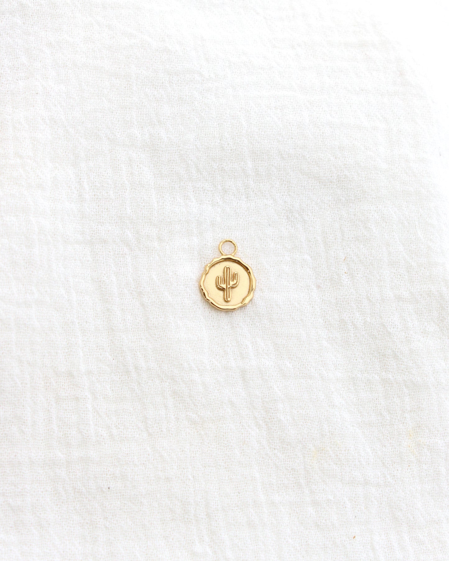 Cactus Coin Charm, CH277