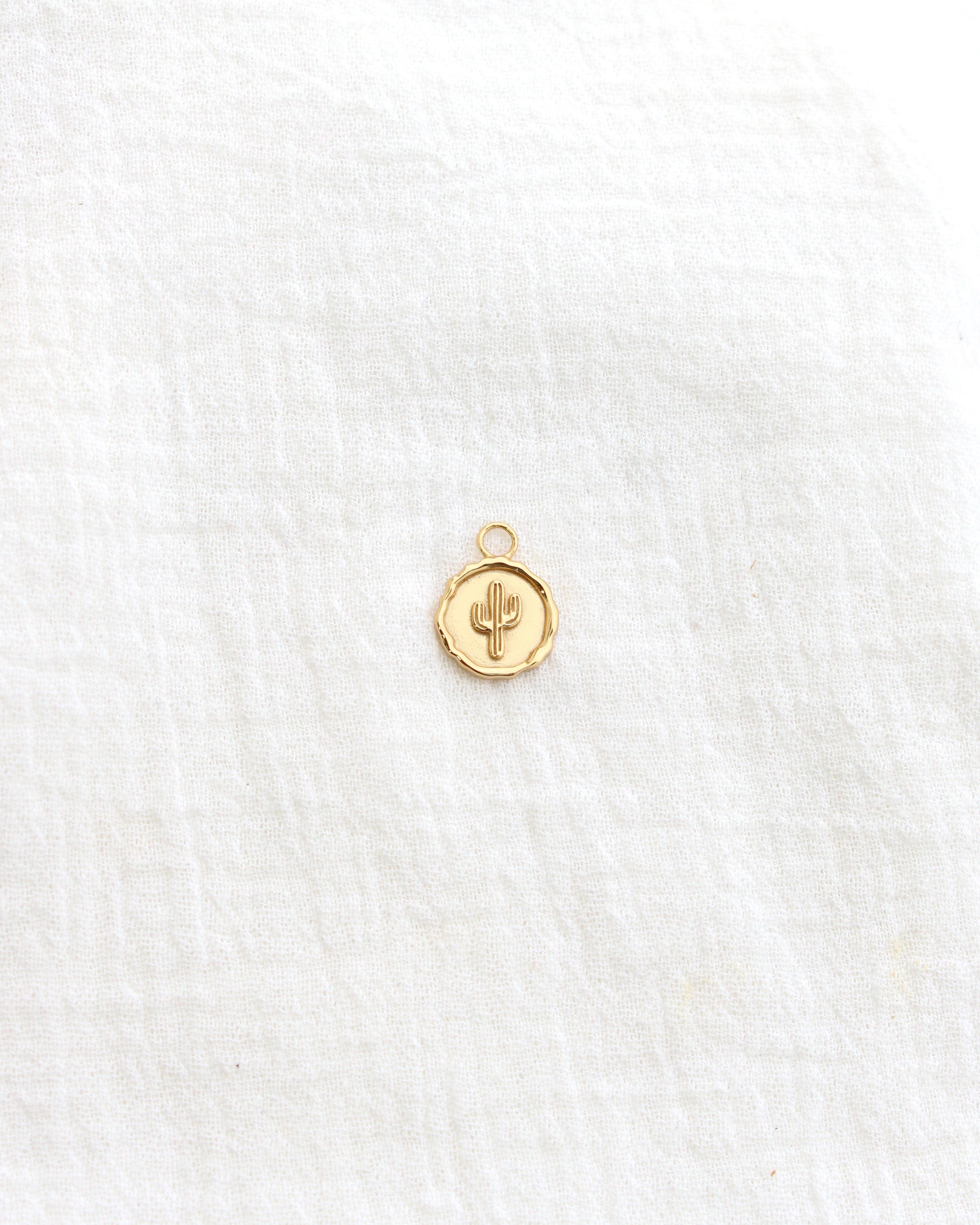 Cactus Coin Charm, CH277