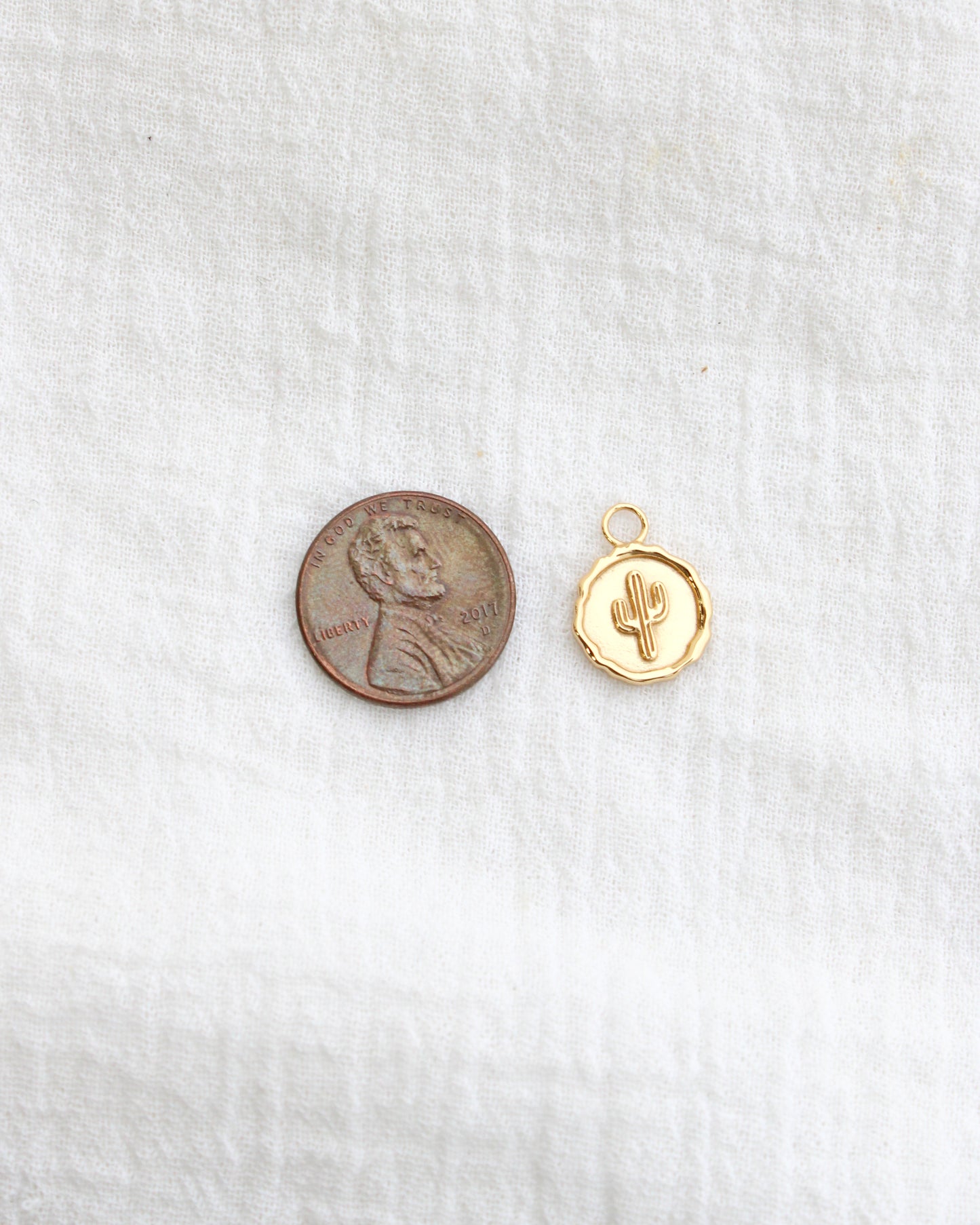 Cactus Coin Charm, CH277