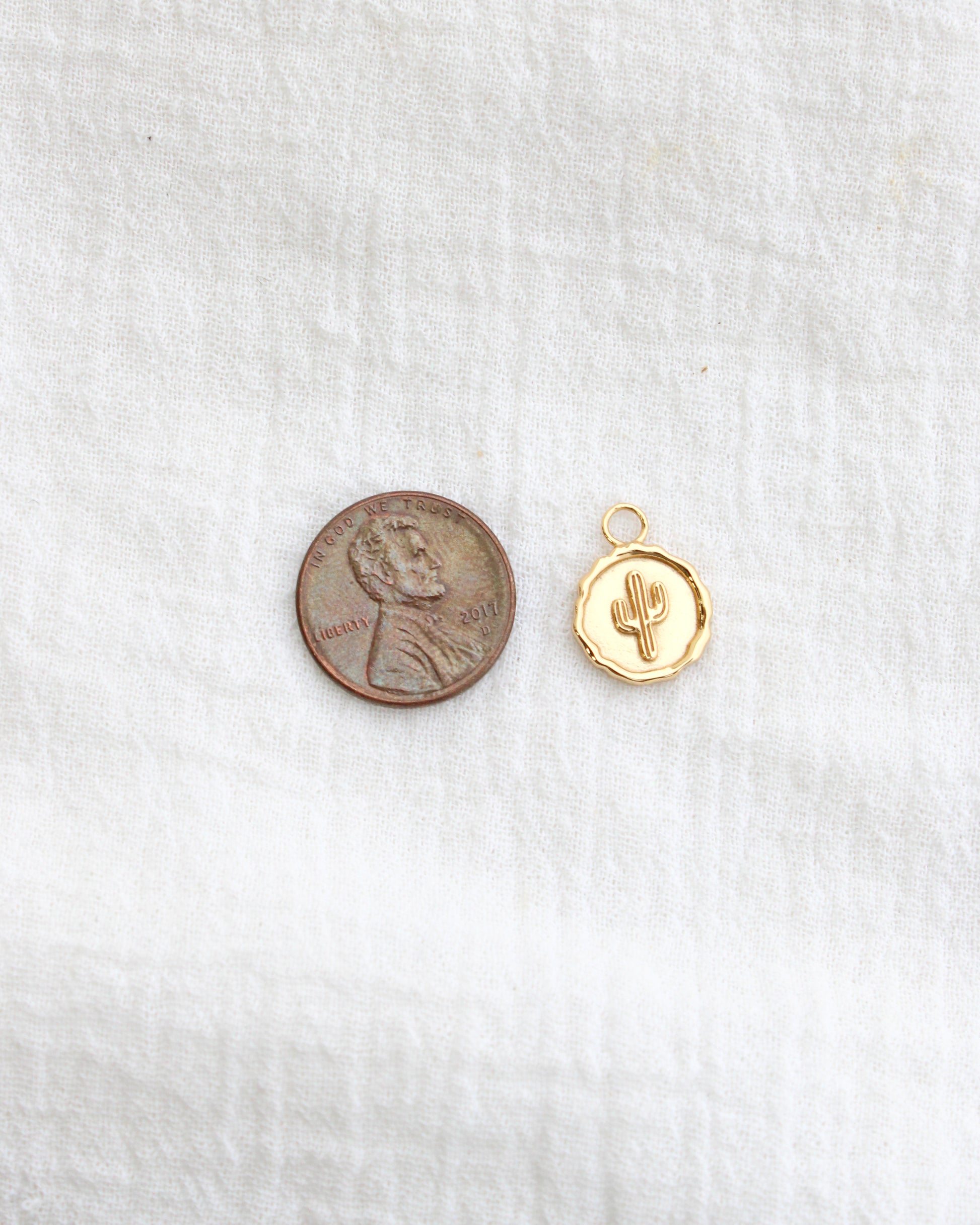 Cactus Coin Charm, CH277