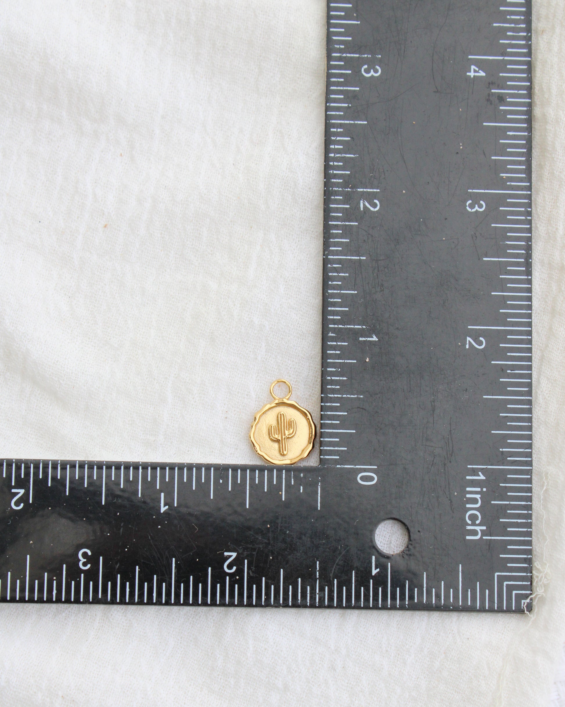 Cactus Coin Charm, CH277