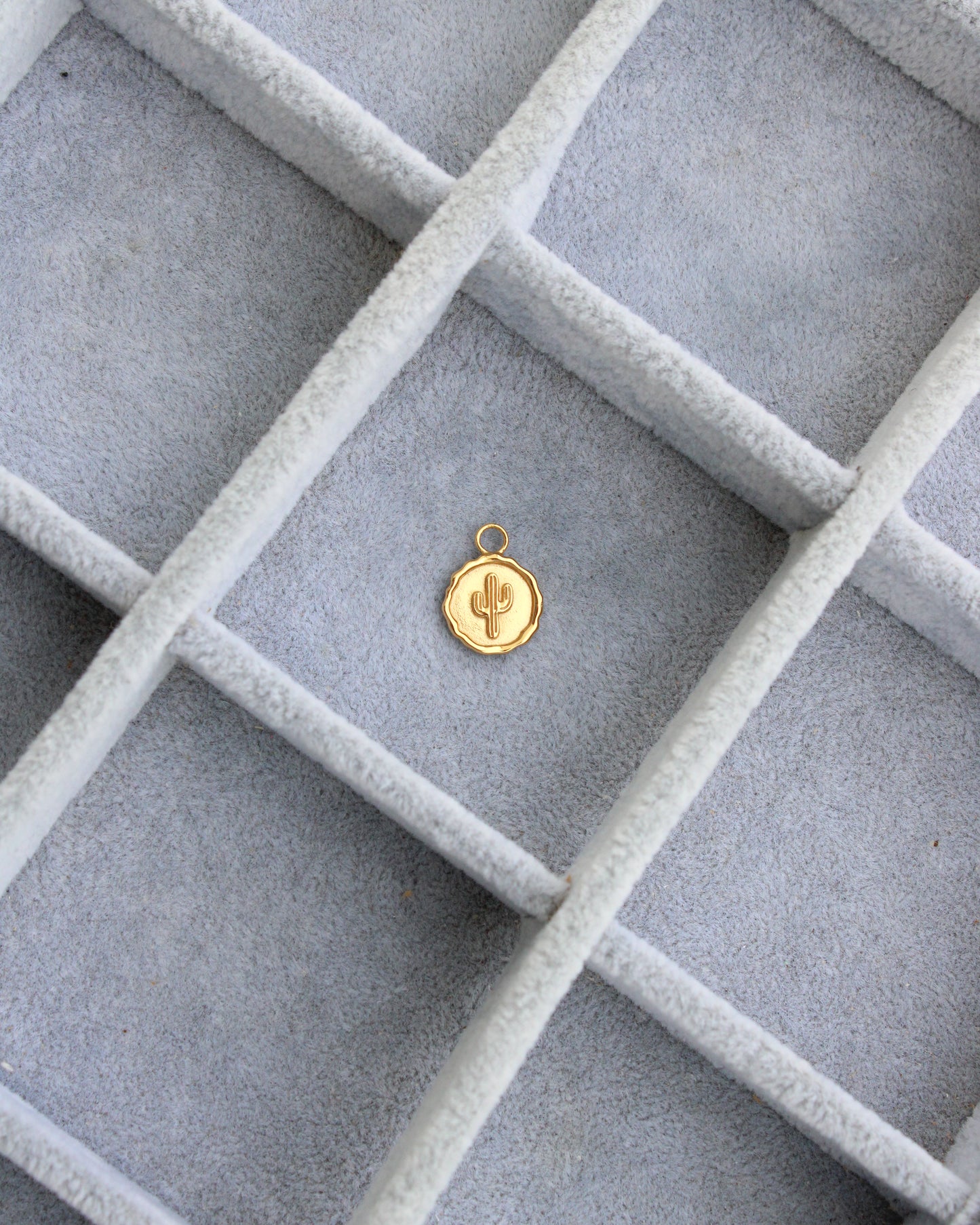 Cactus Coin Charm, CH277