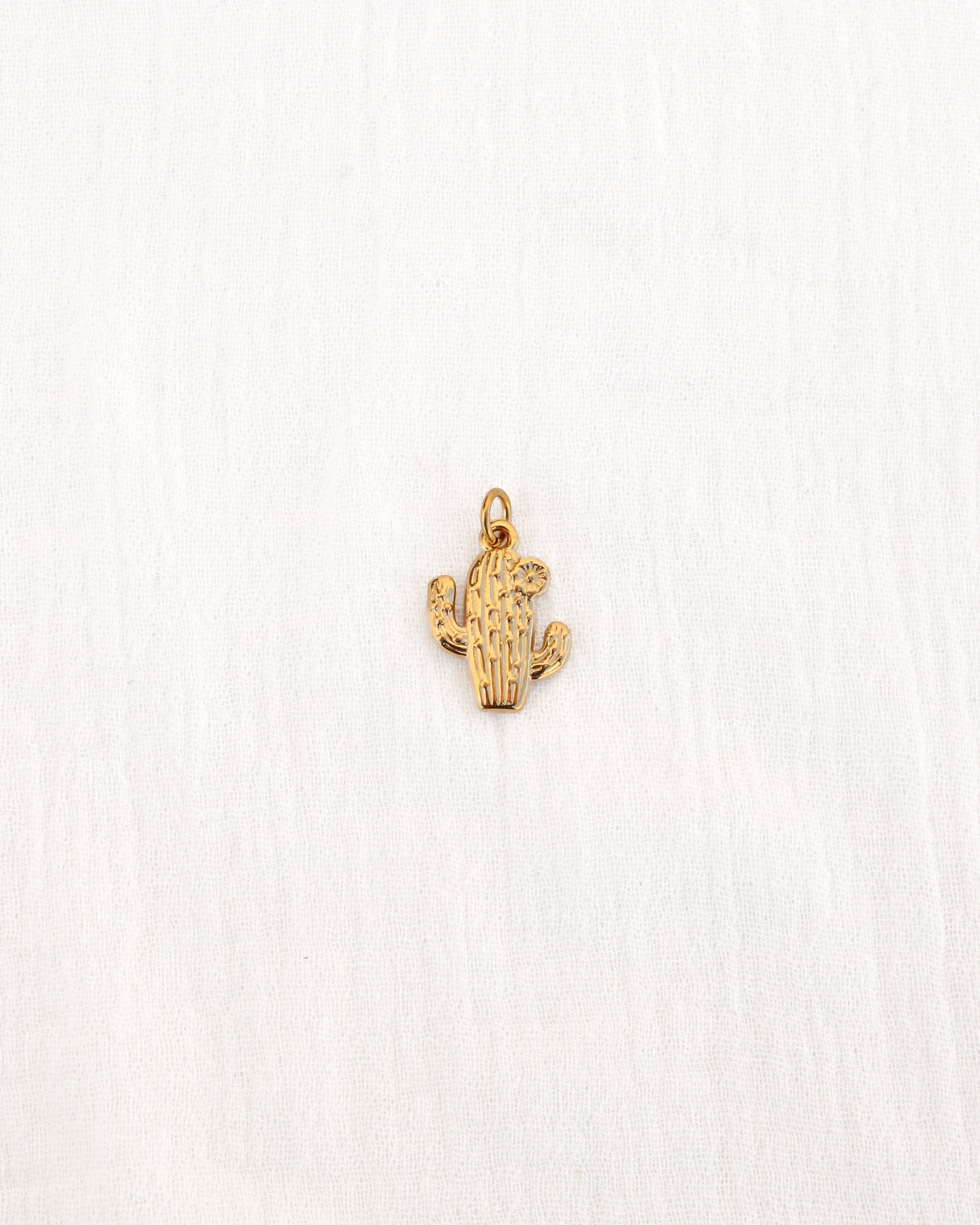 Cactus PVD Charm, CH344