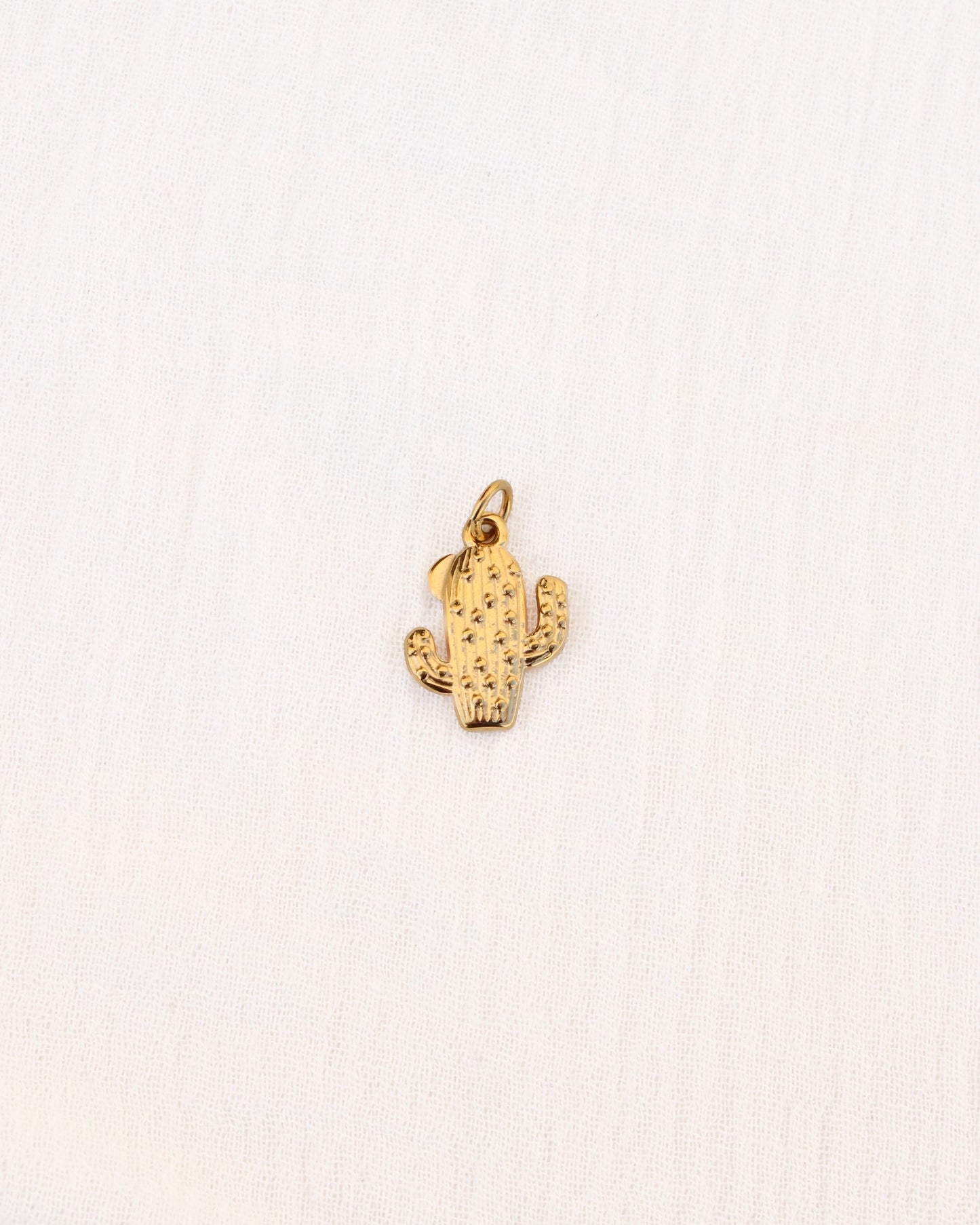 Cactus PVD Charm, CH344