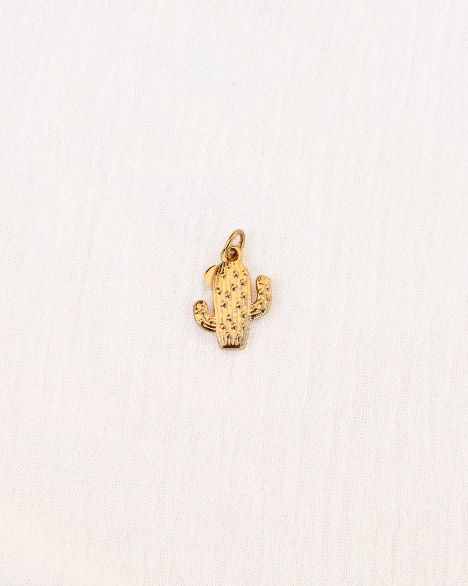 Cactus PVD Charm, CH344
