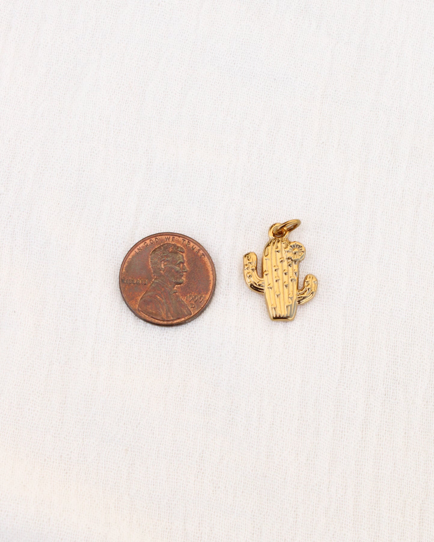 Cactus PVD Charm, CH344