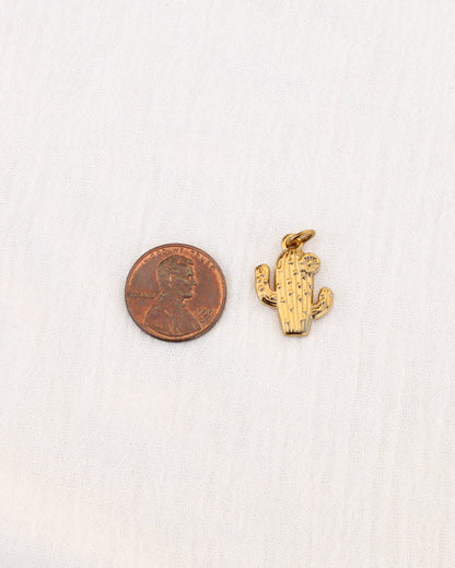 Cactus PVD Charm, CH344