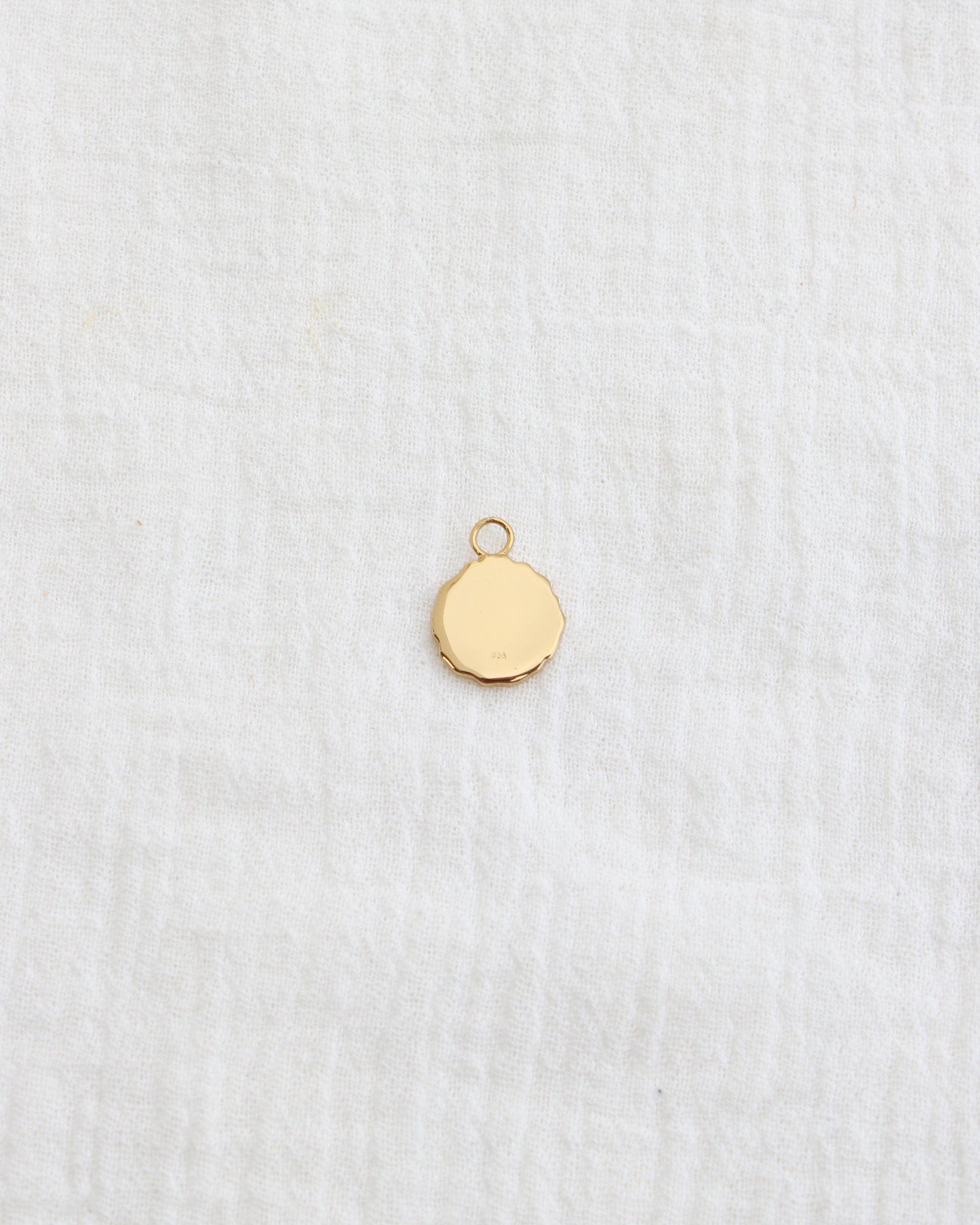 Cactus Coin Charm, CH277