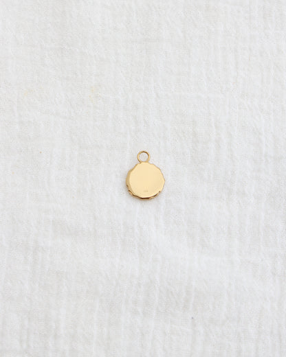 Cactus Coin Charm, CH277