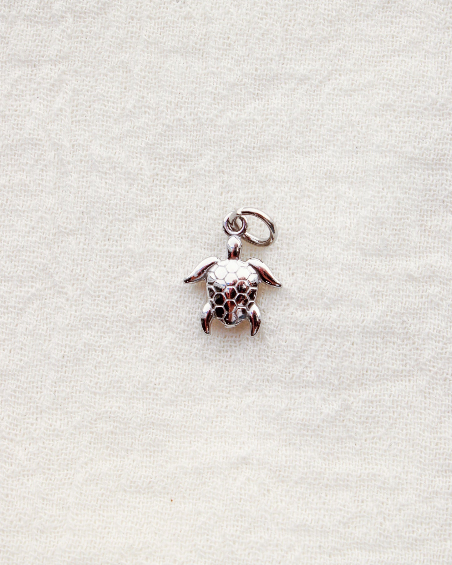 Turtle PVD / Stainless Steel Charm, CH335