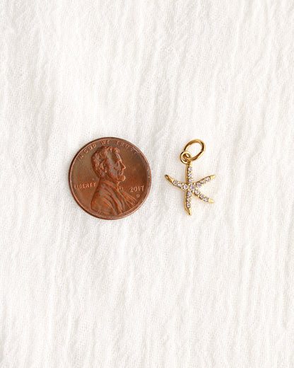 15mm Starfish PVD Charm with Cubic Zirconia, CH382