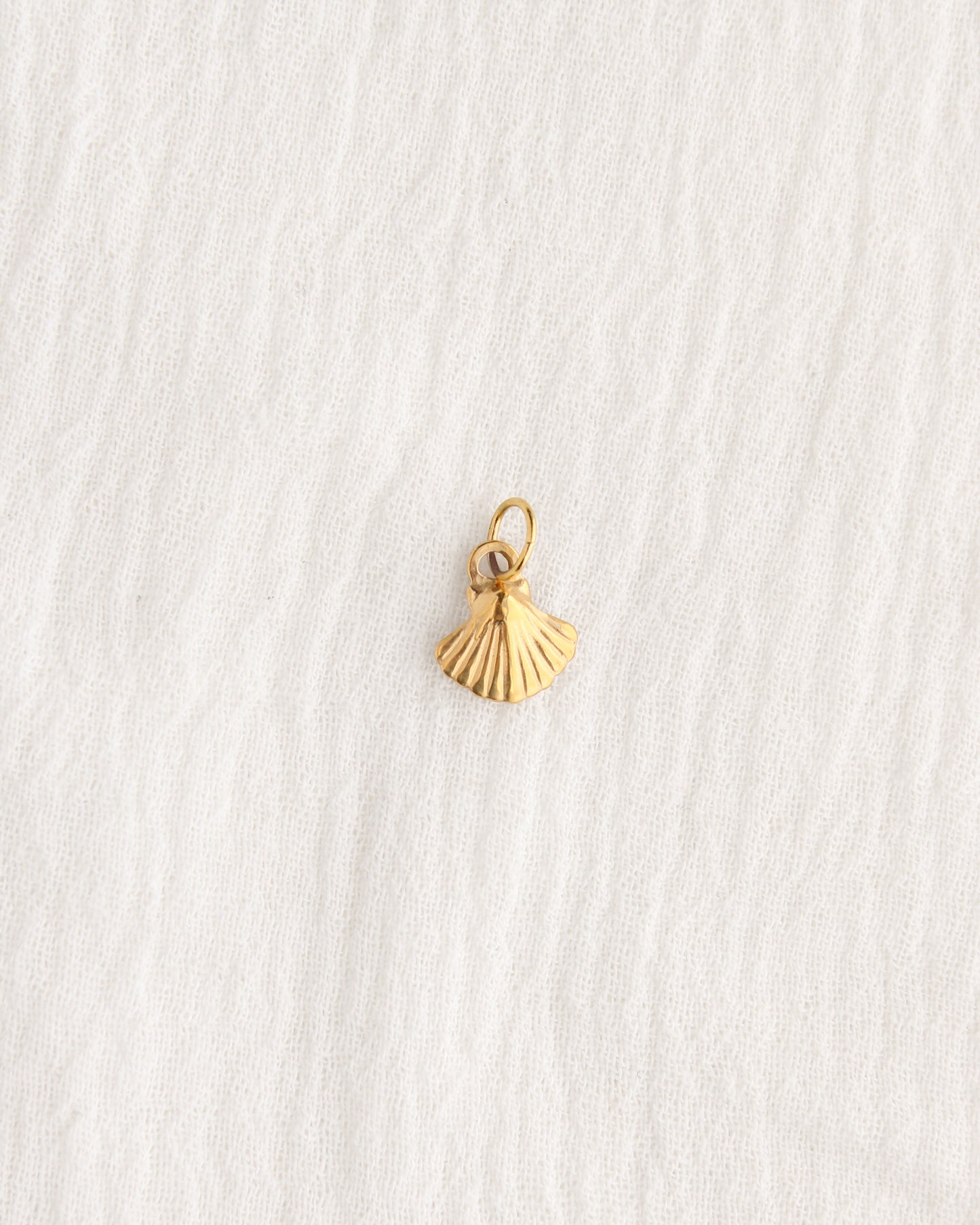 11mm Shell PVD Charm, CH384