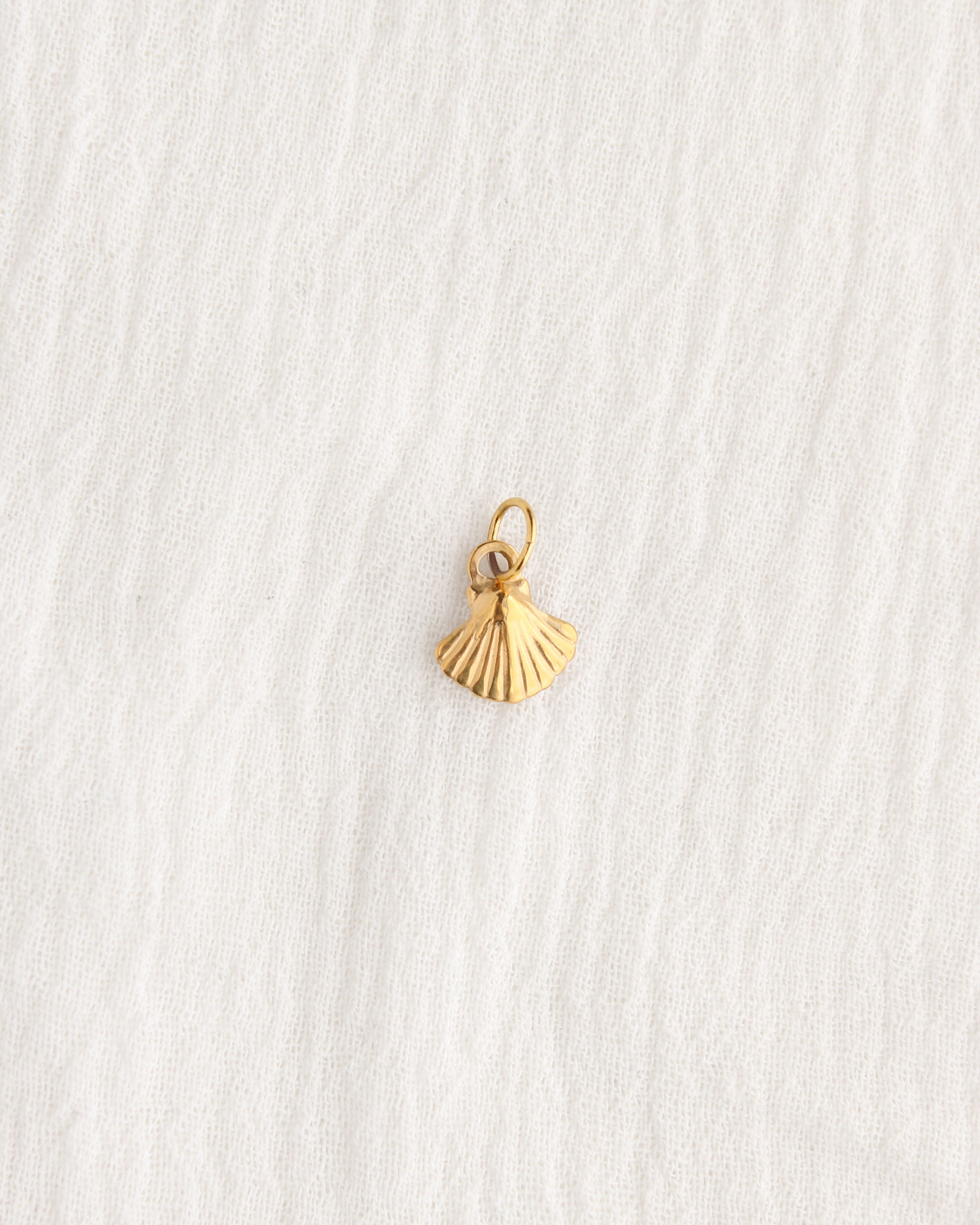 11mm Shell PVD Charm, CH384