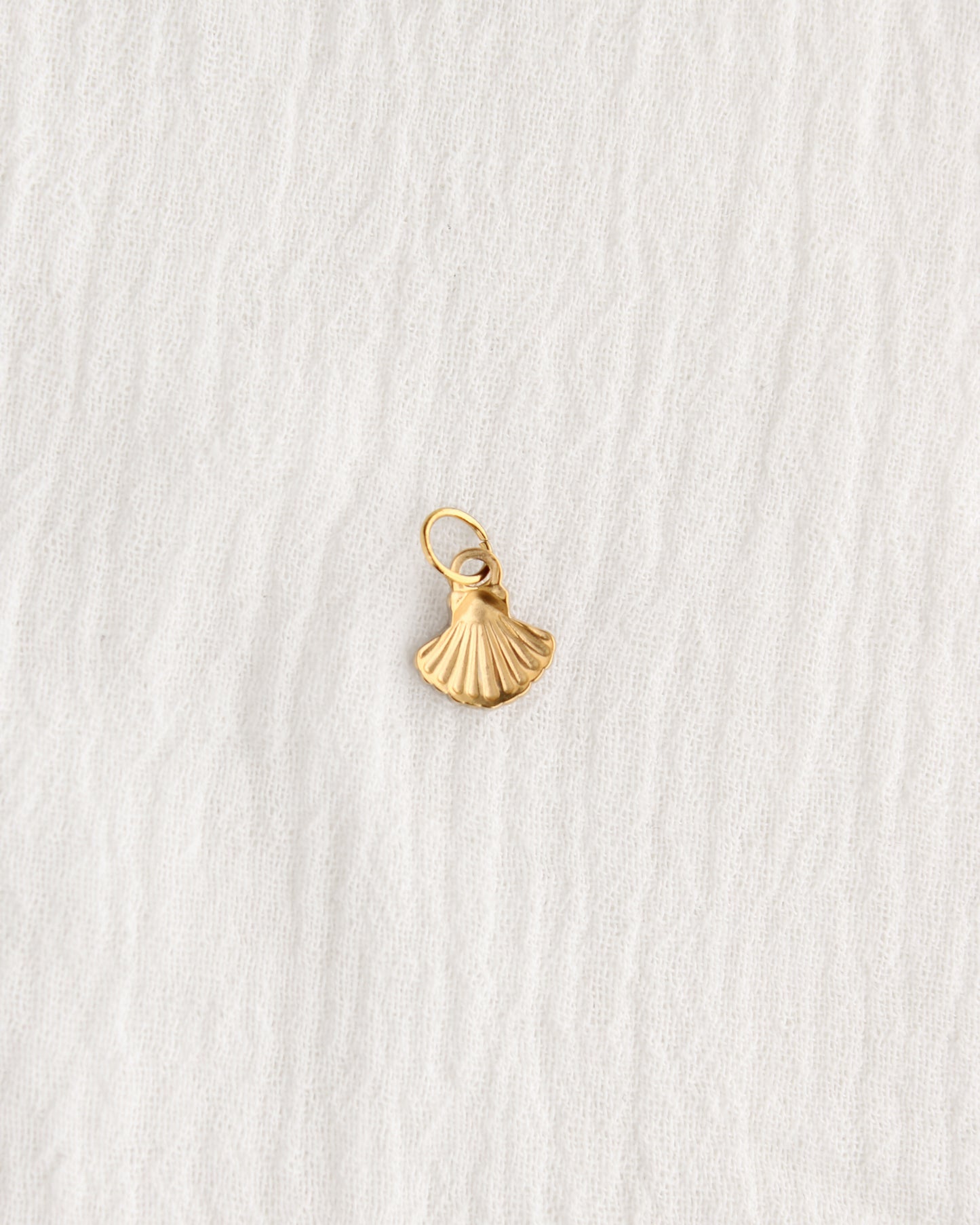 11mm Shell PVD Charm, CH384