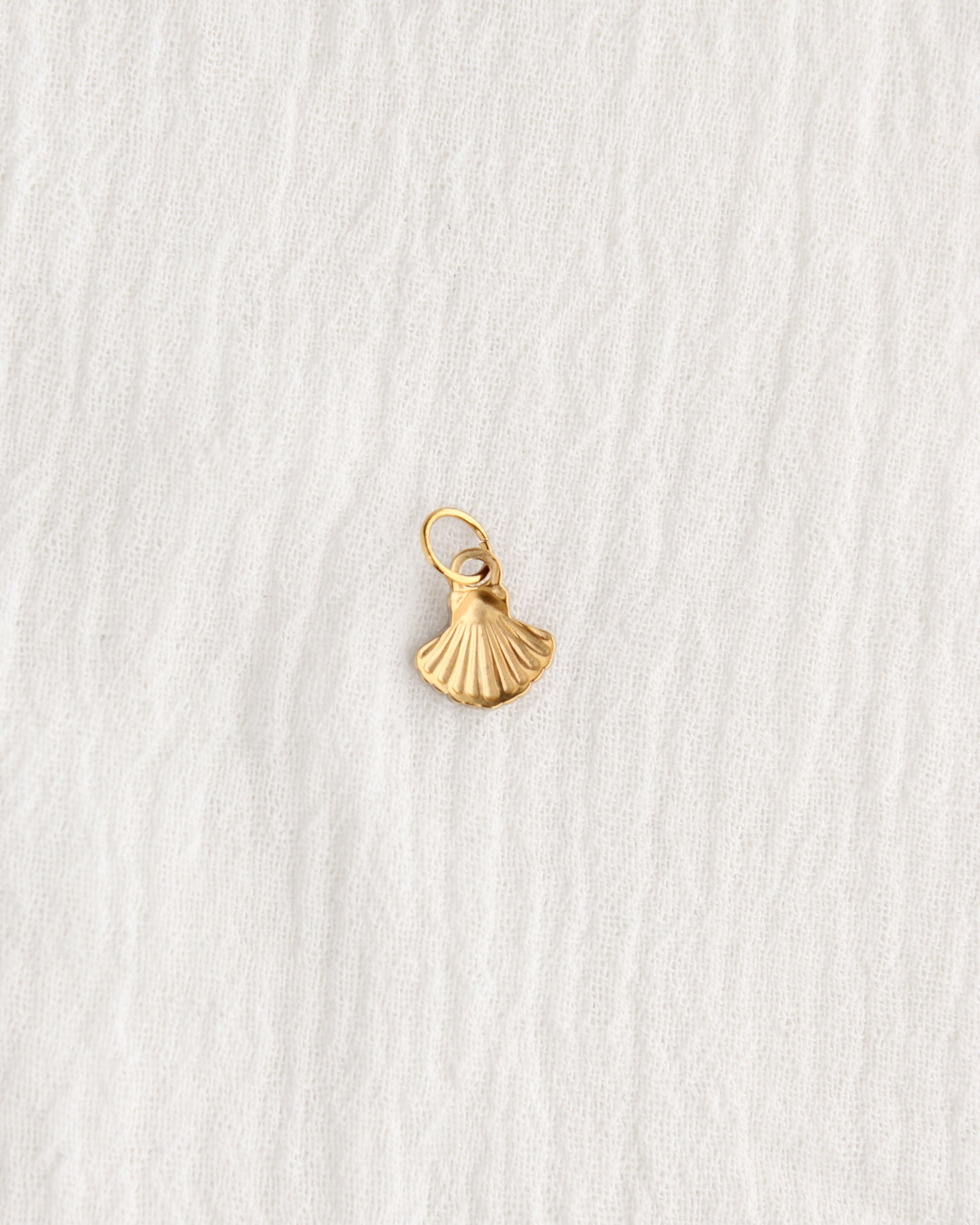 11mm Shell PVD Charm, CH384