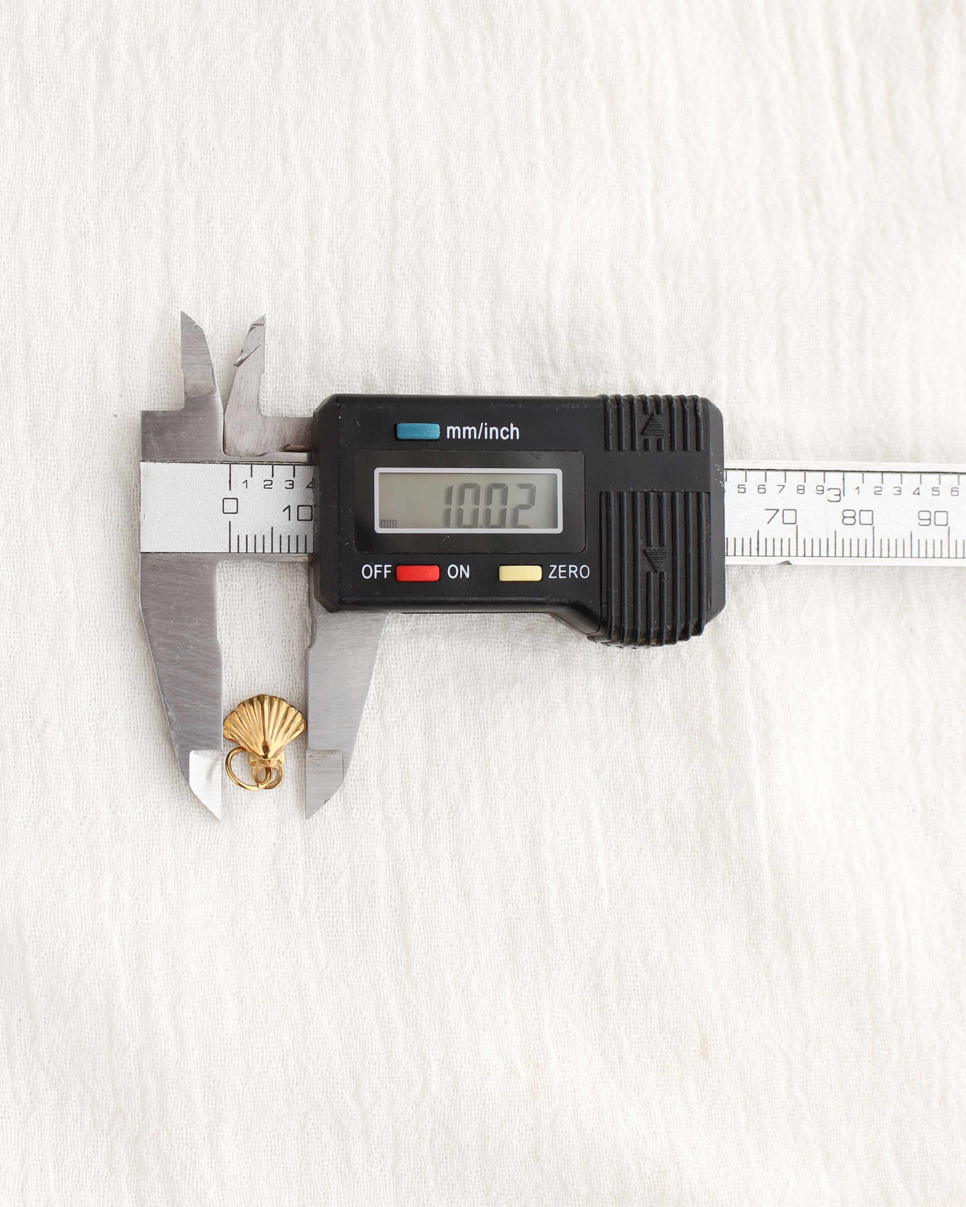 11mm Shell PVD Charm, CH384