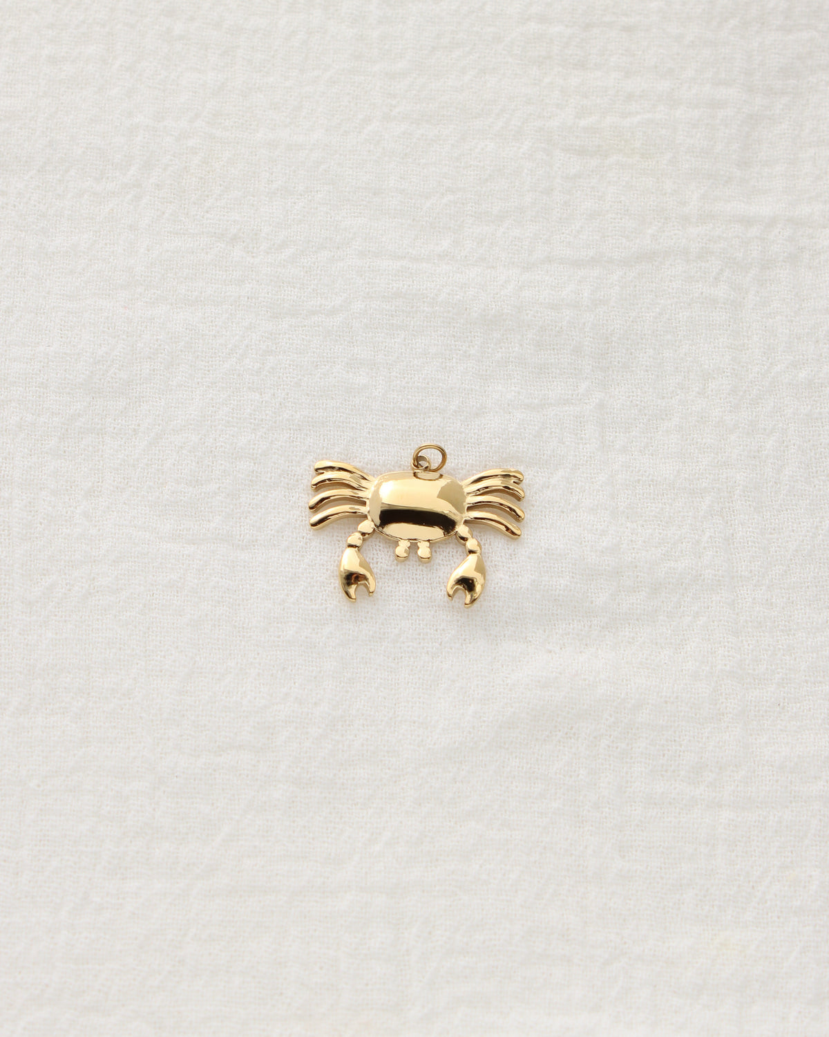 18mm Crab PVD Charm, CH464