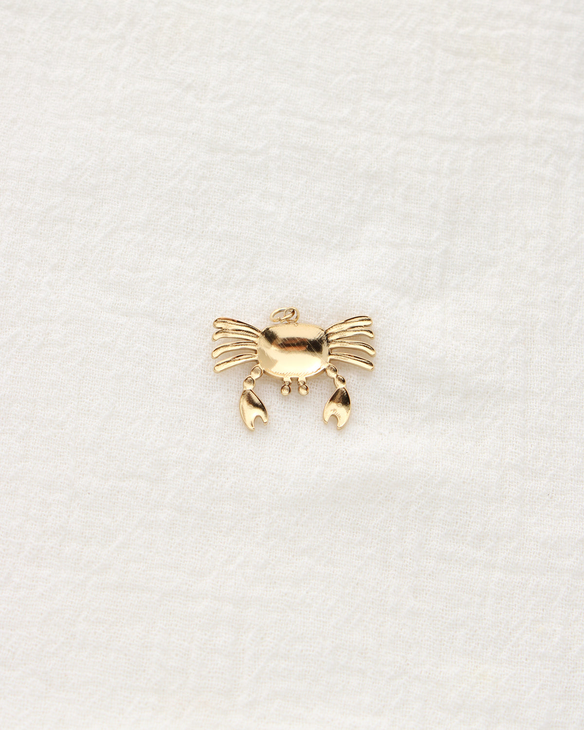 18mm Crab PVD Charm, CH464