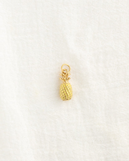 19mm Pineapple PVD Charm, CH469