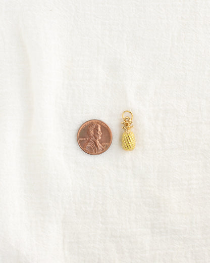 19mm Pineapple PVD Charm, CH469