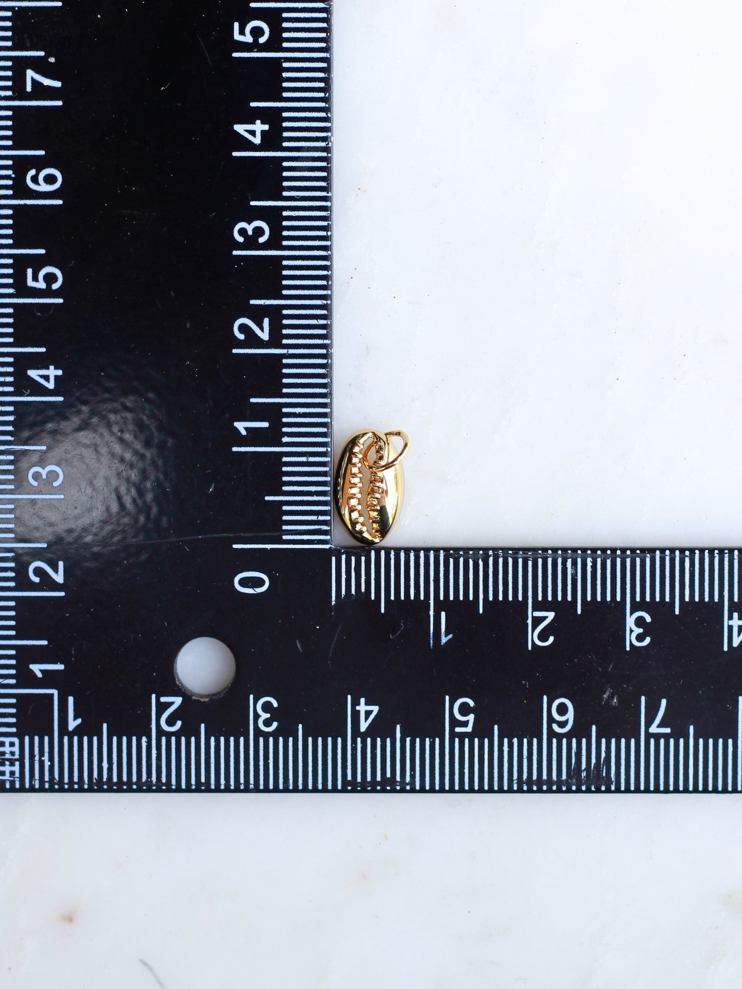 Cowrie Shell Charm, CH116