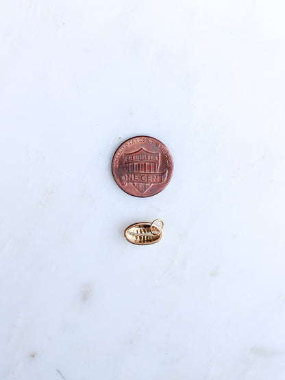 Cowrie Shell Charm, CH116