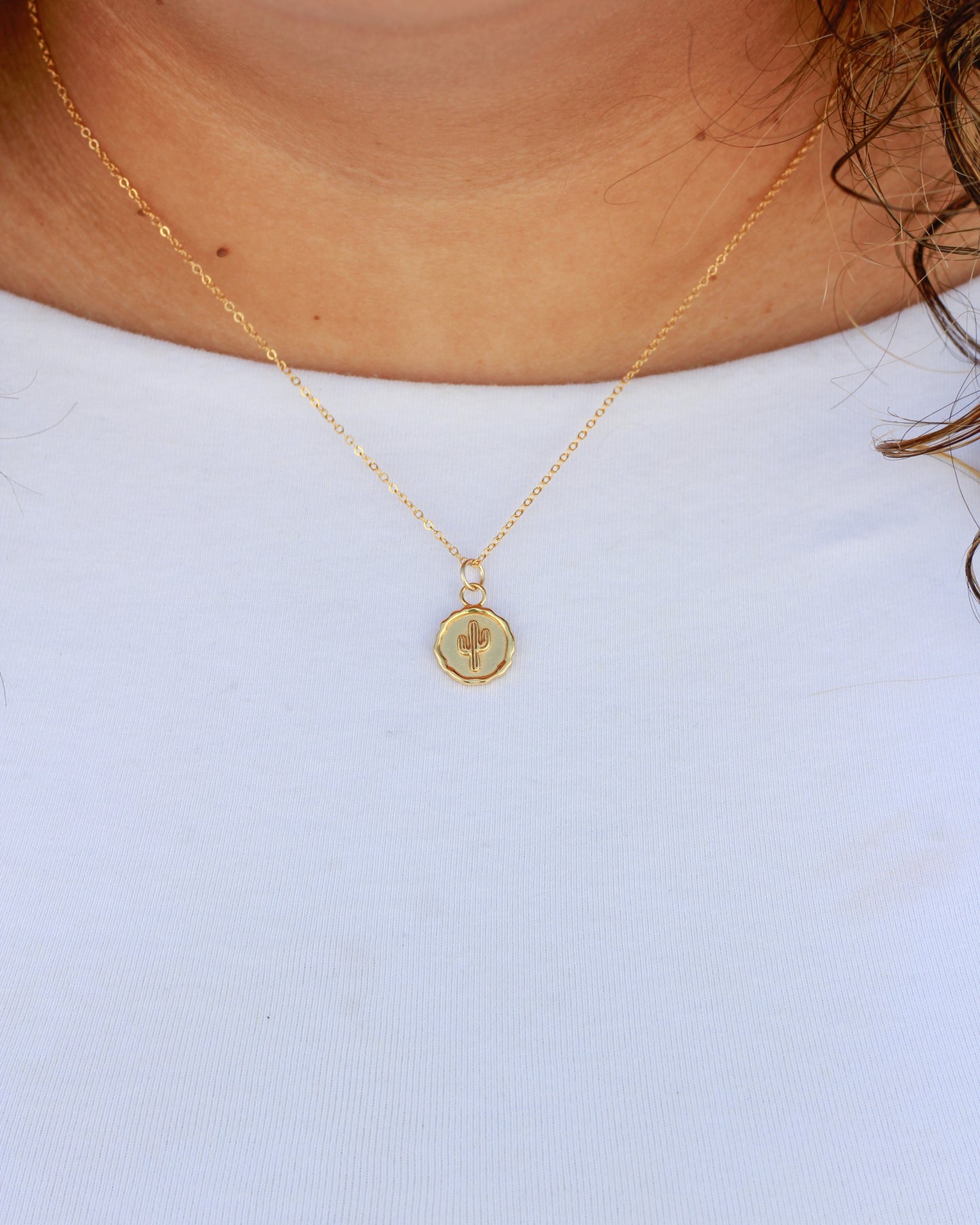 Cactus Coin Charm, CH277