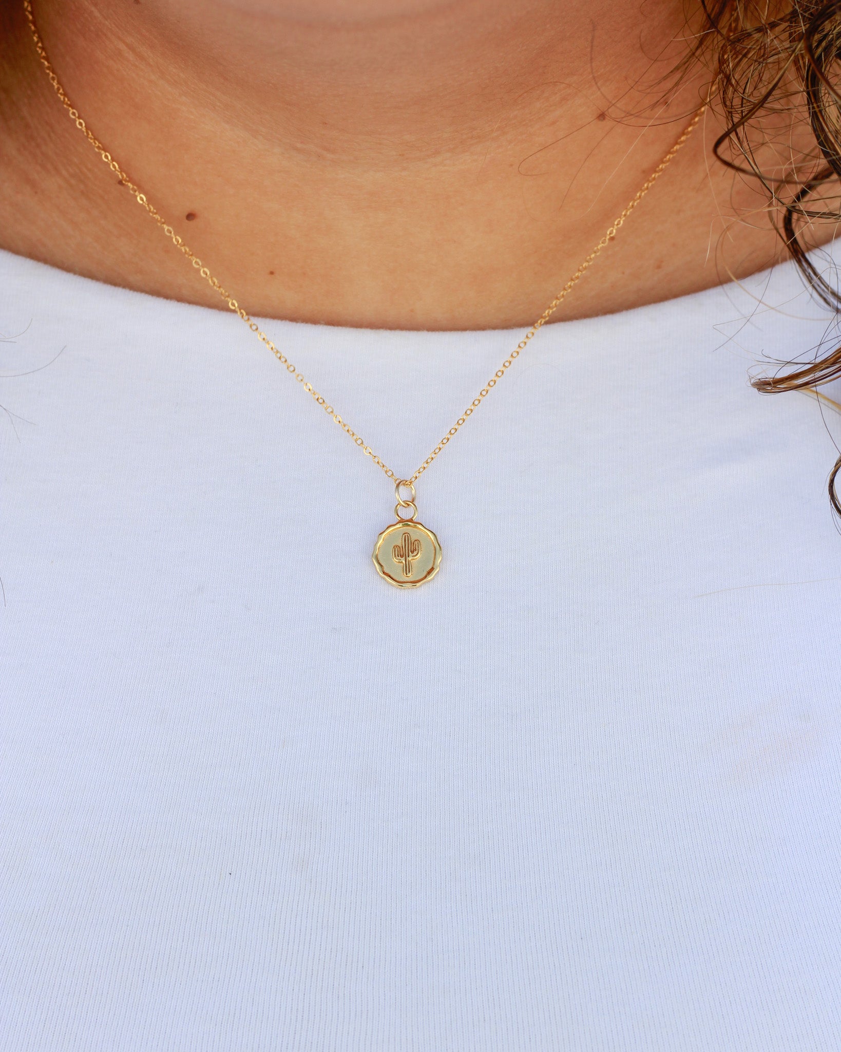 Cactus Coin Charm, CH277