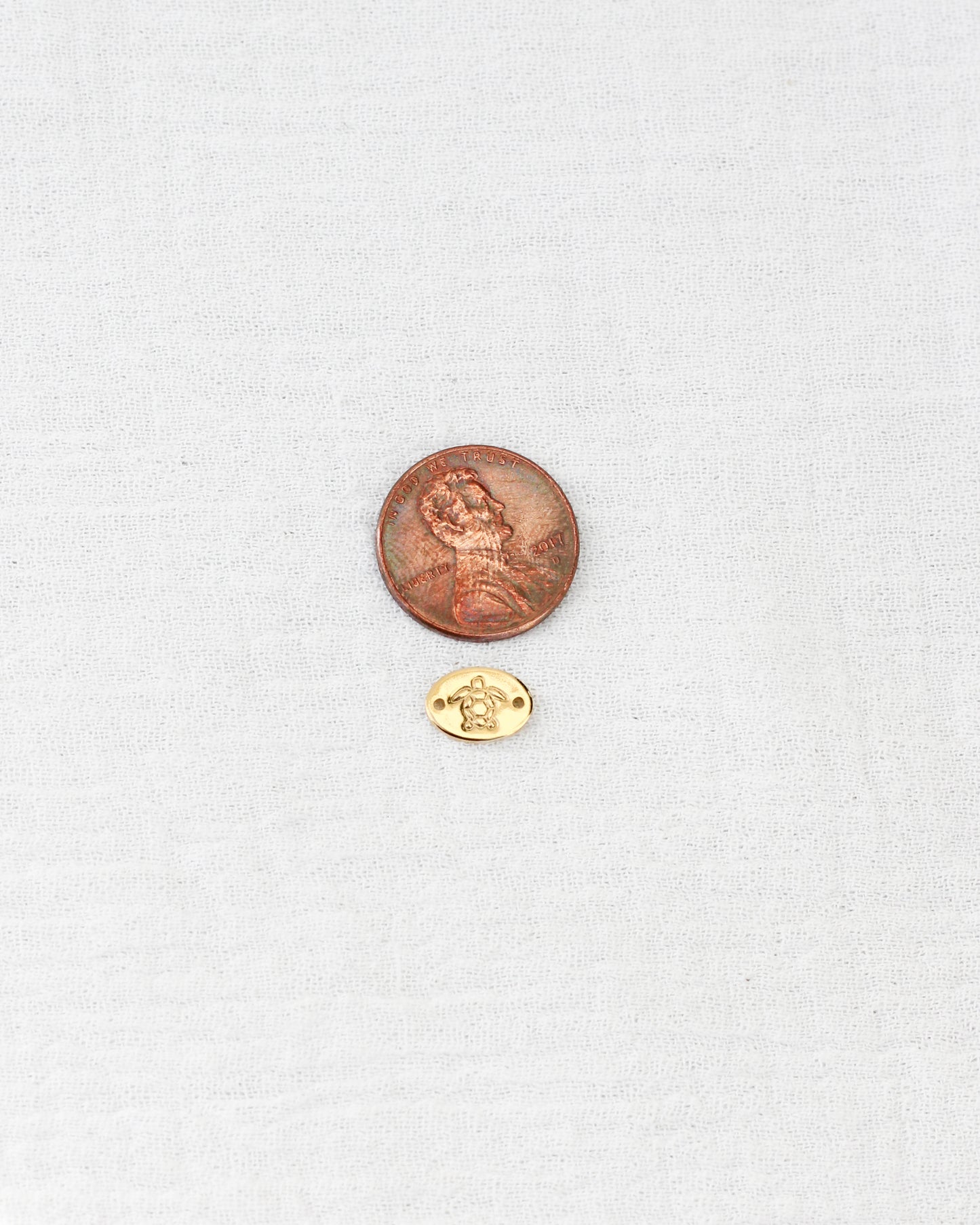 Turtle Connector, CN01