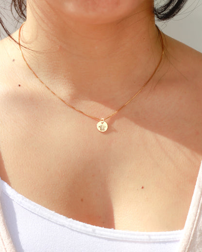 Turtle Pendant Charm, CH265