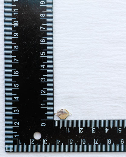 Flat Scallop Shell Connector Charm, CN172
