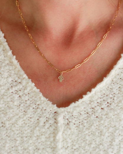 Mushroom Charm, CH240