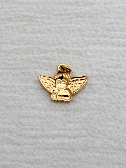 Angel PVD Charm, CH324