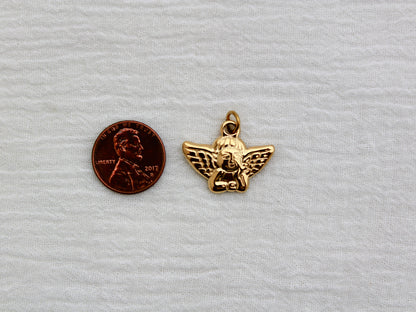 Angel PVD Charm, CH324