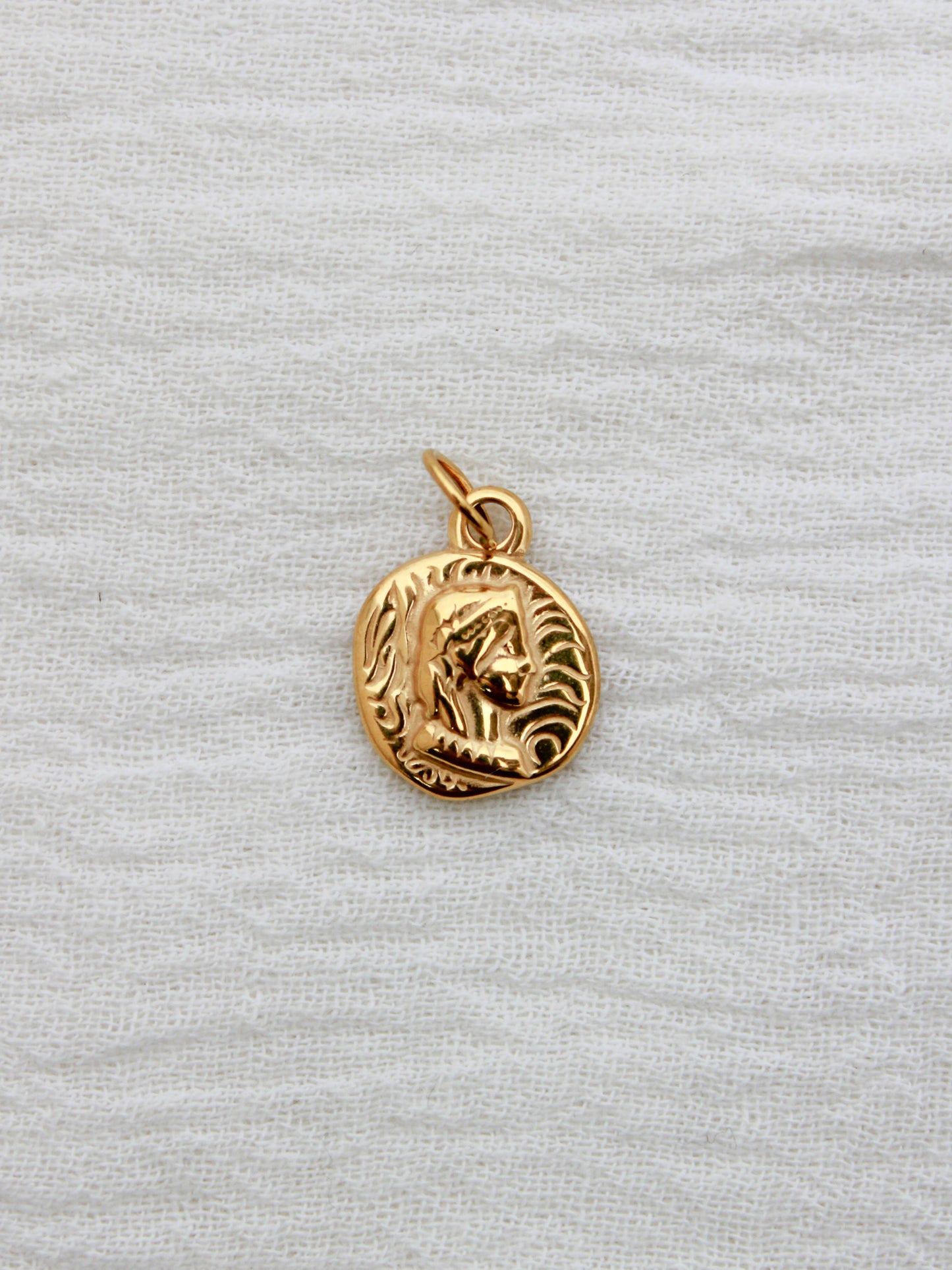 Vintage Coin PVD Charm, CH325