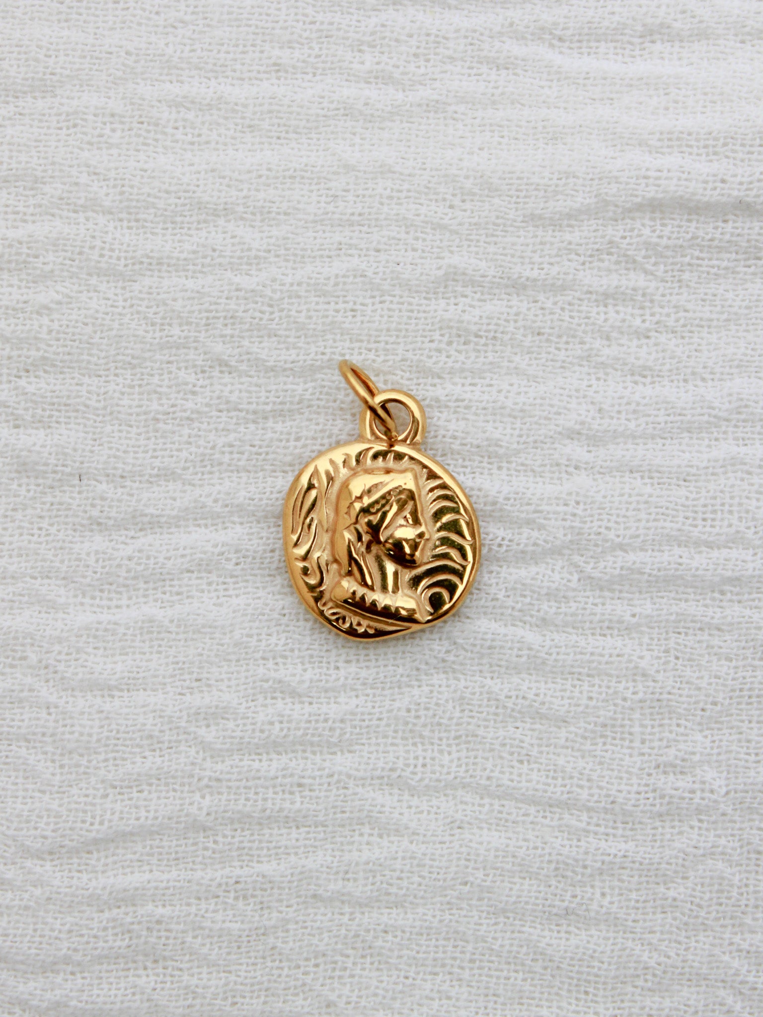 Vintage Coin PVD Charm, CH325