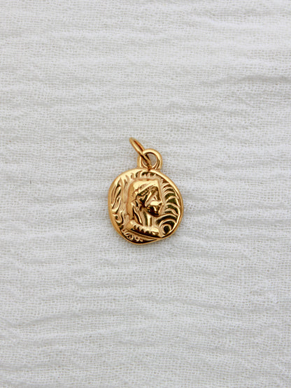 Vintage Coin PVD Charm, CH325