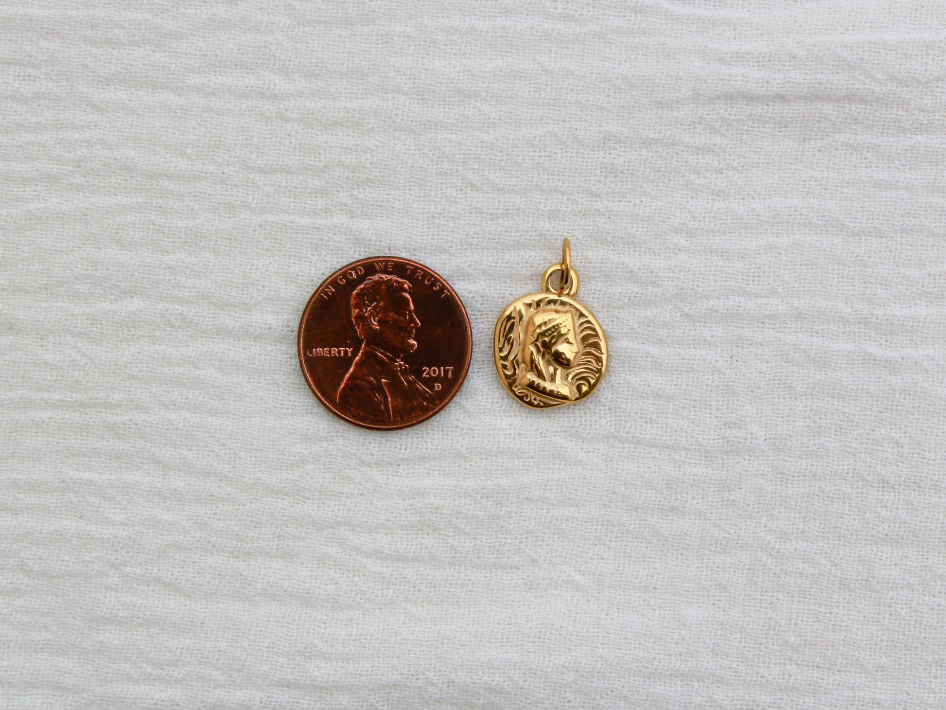 Vintage Coin PVD Charm, CH325