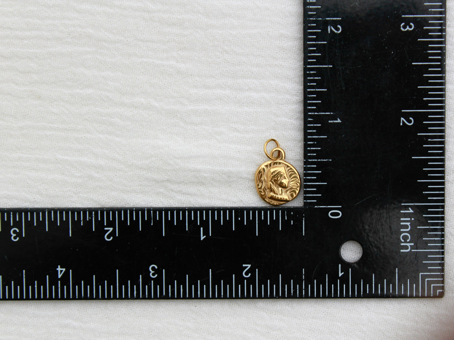 Vintage Coin PVD Charm, CH325