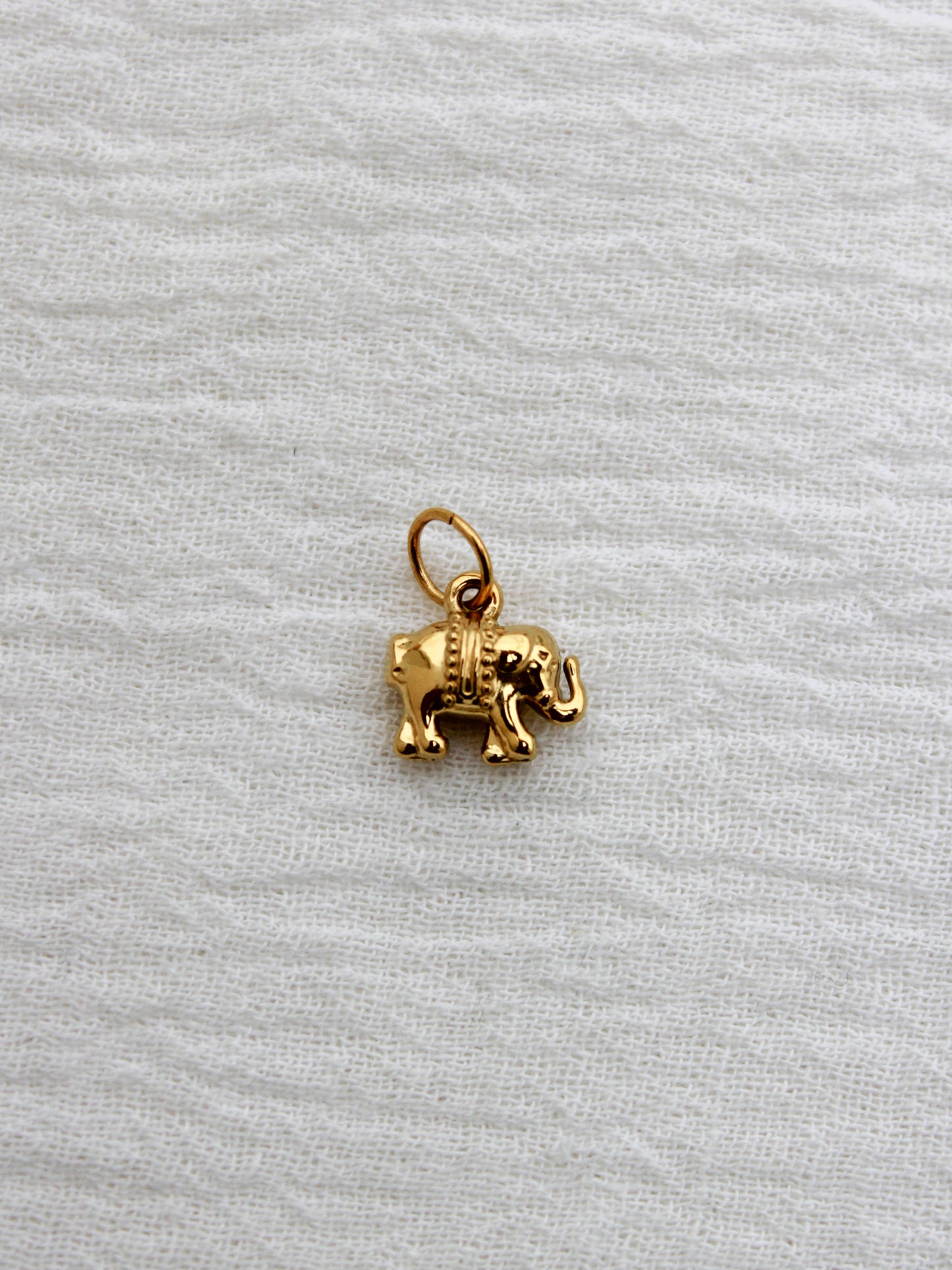 Elephant PVD Charm, CH327