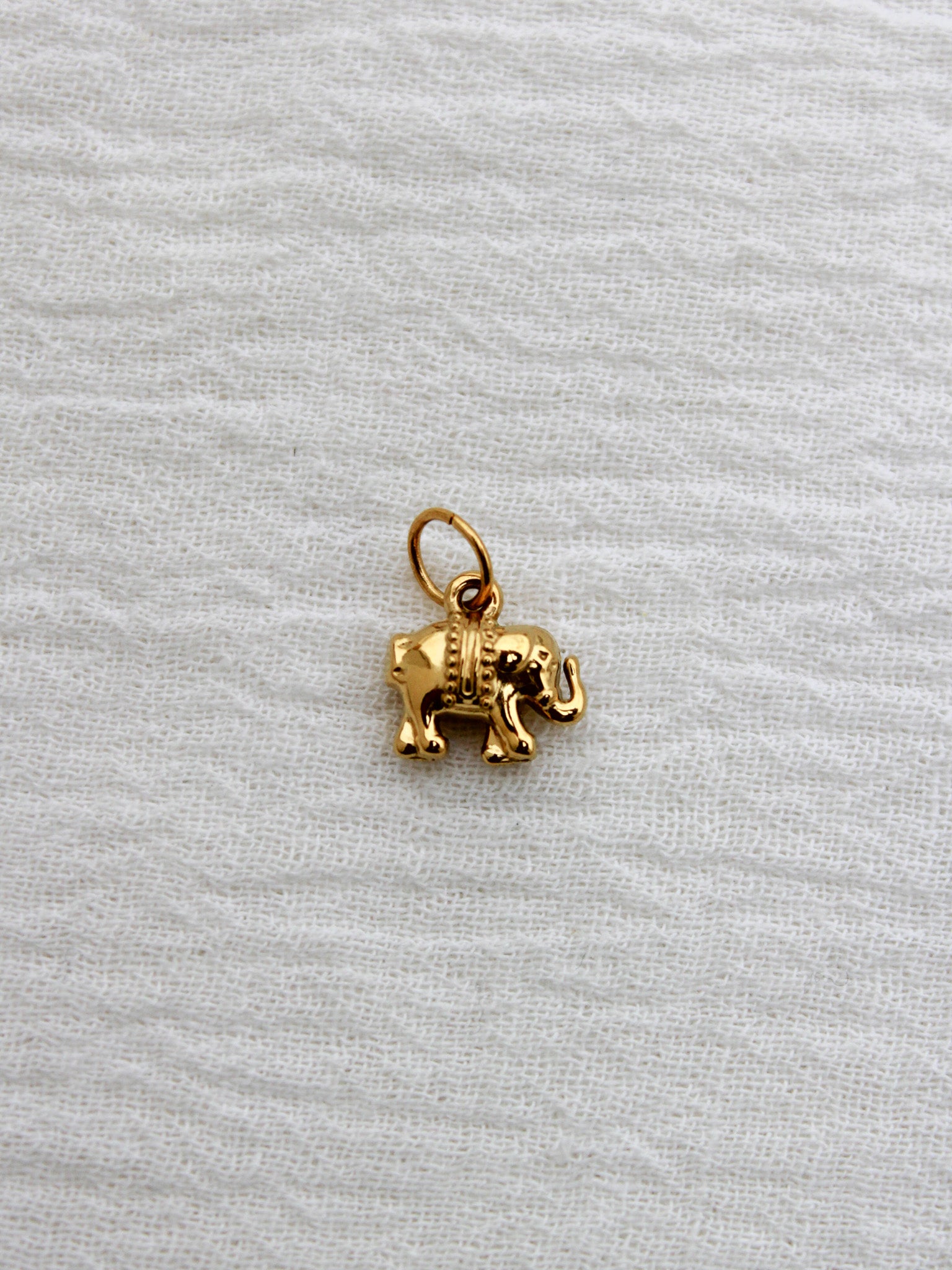 Elephant PVD Charm, CH327