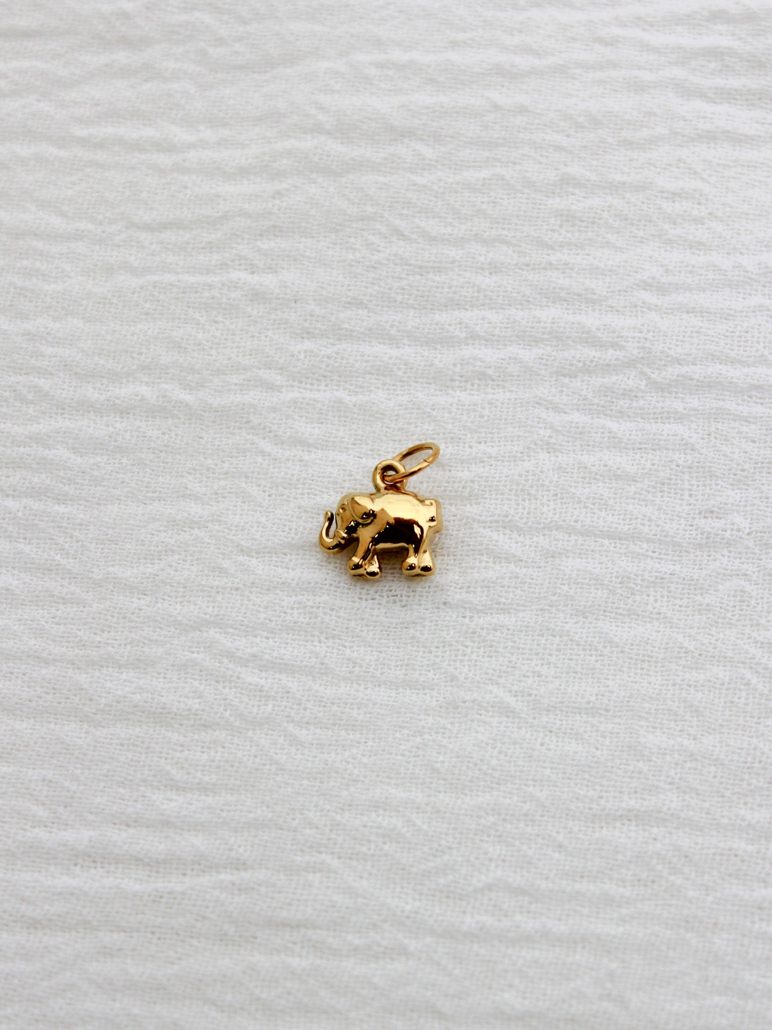 Elephant PVD Charm, CH327