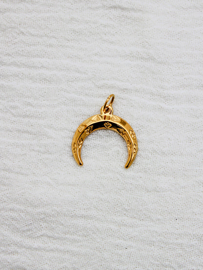 Crescent PVD Charm, CH331