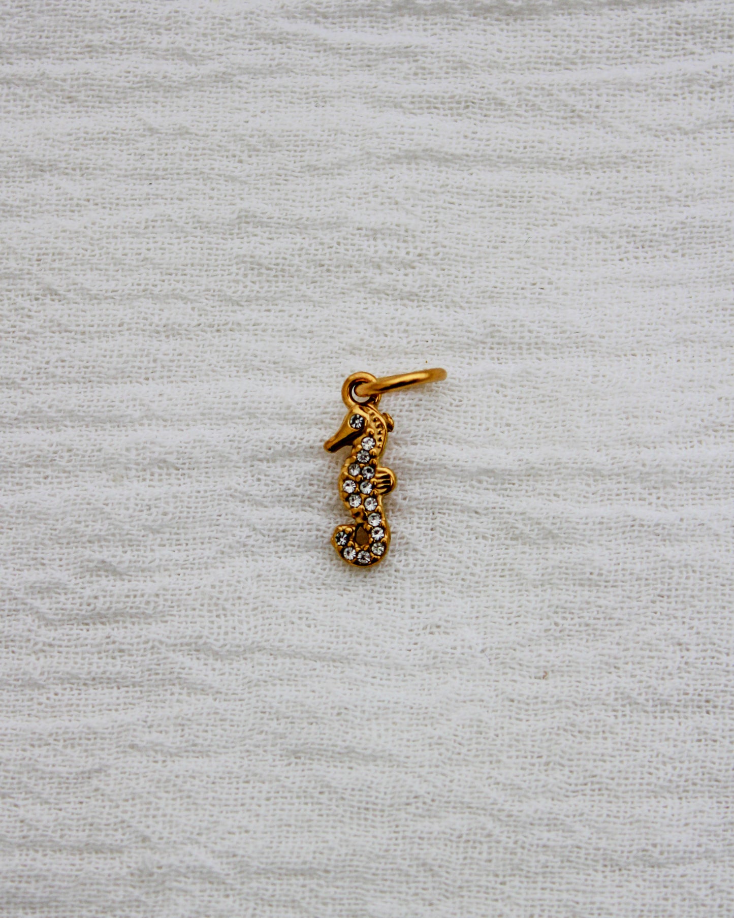 Seahorse PVD Charm, CH334