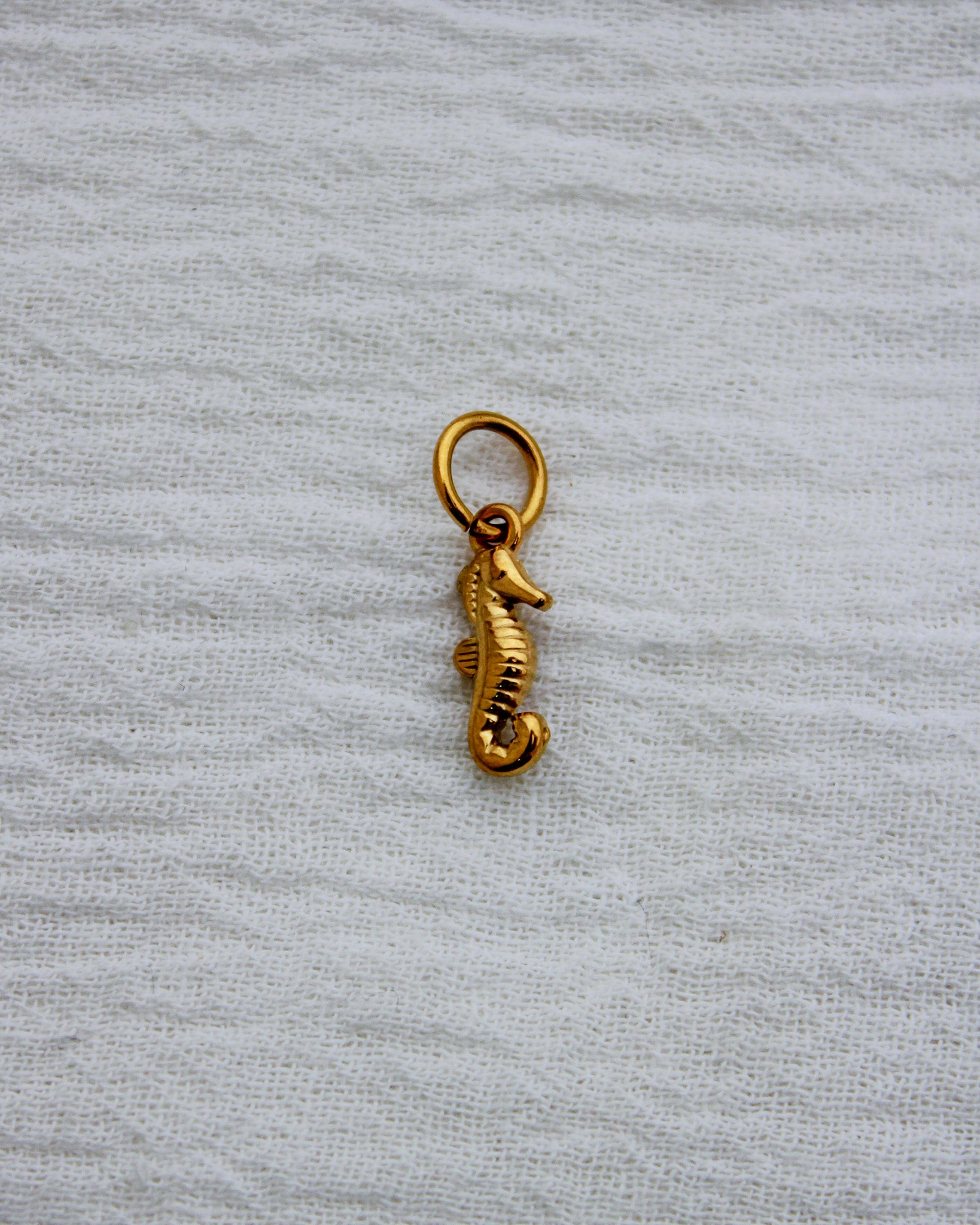 Seahorse PVD Charm, CH334