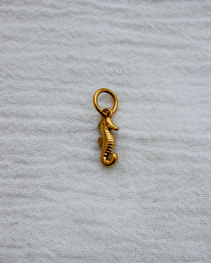 Seahorse PVD Charm, CH334
