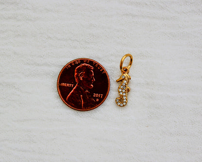 Seahorse PVD Charm, CH334