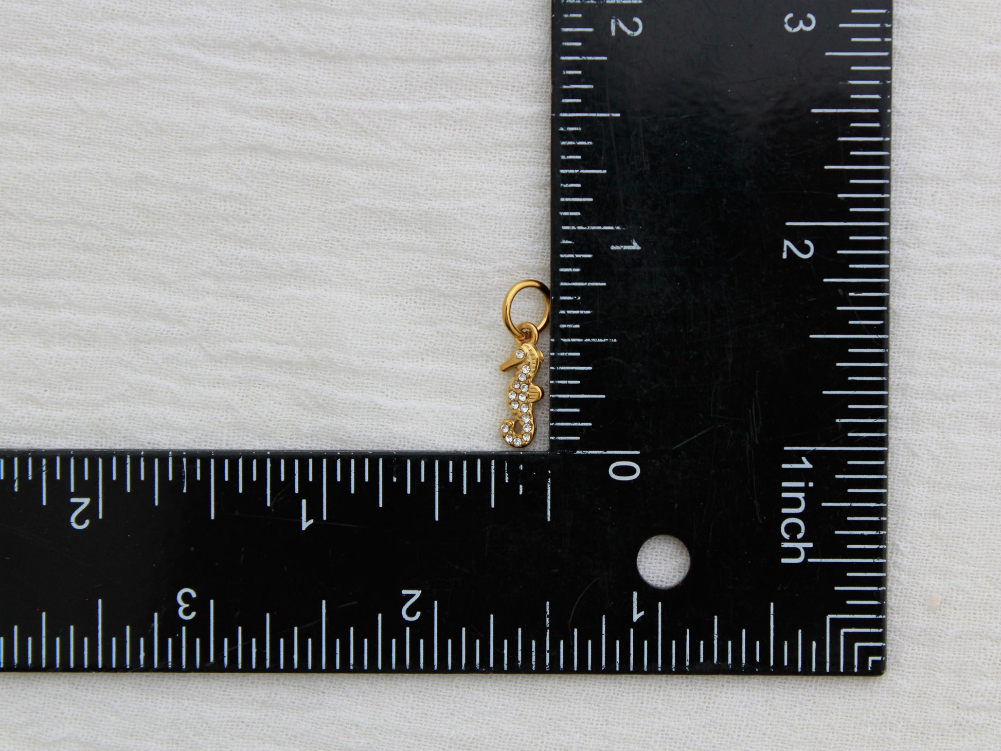 Seahorse PVD Charm, CH334