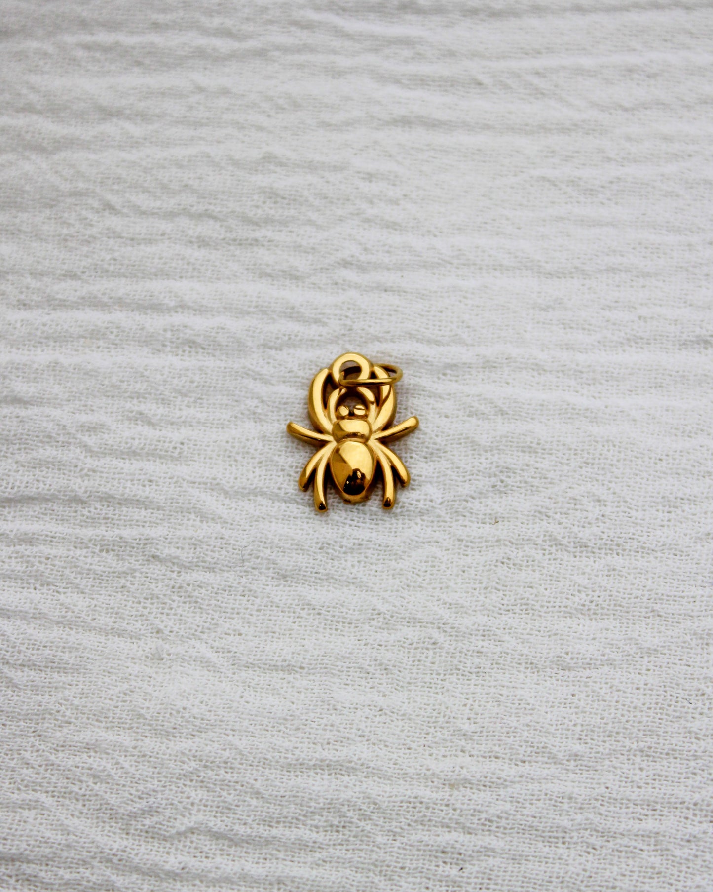 Spider PVD Charm, CH339