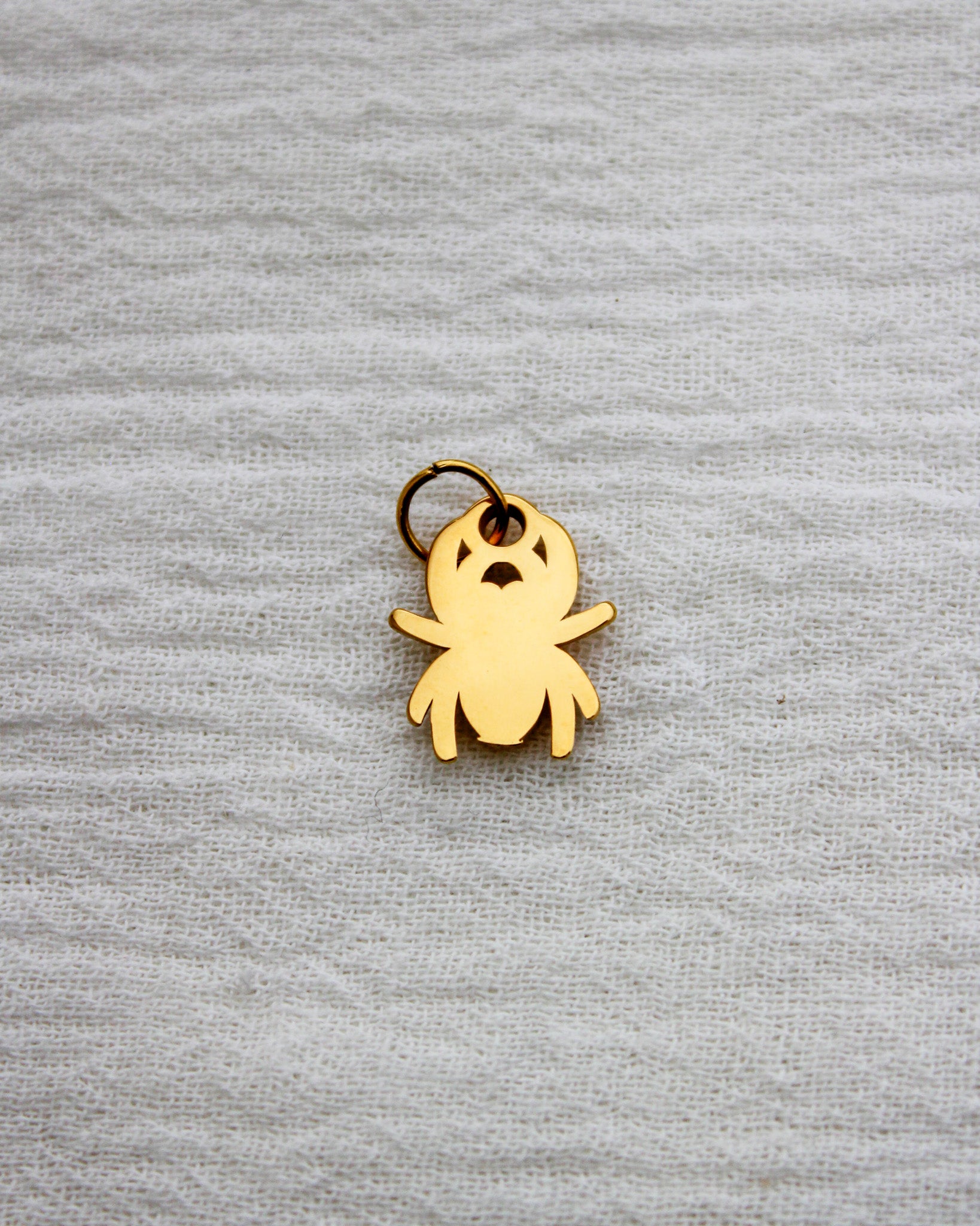 Spider PVD Charm, CH339